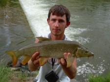 57 cm nymfa oranžová.jpg